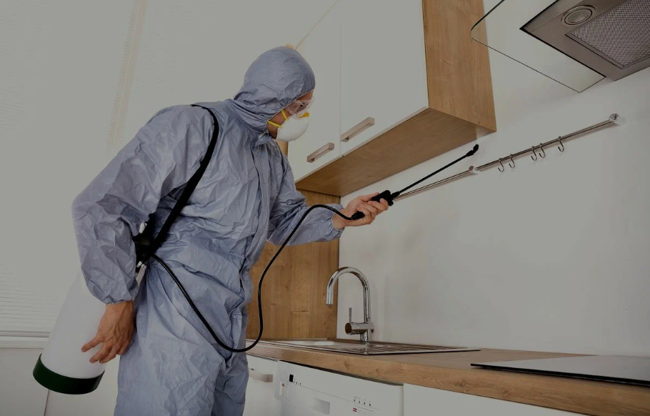 Norco pest managment
